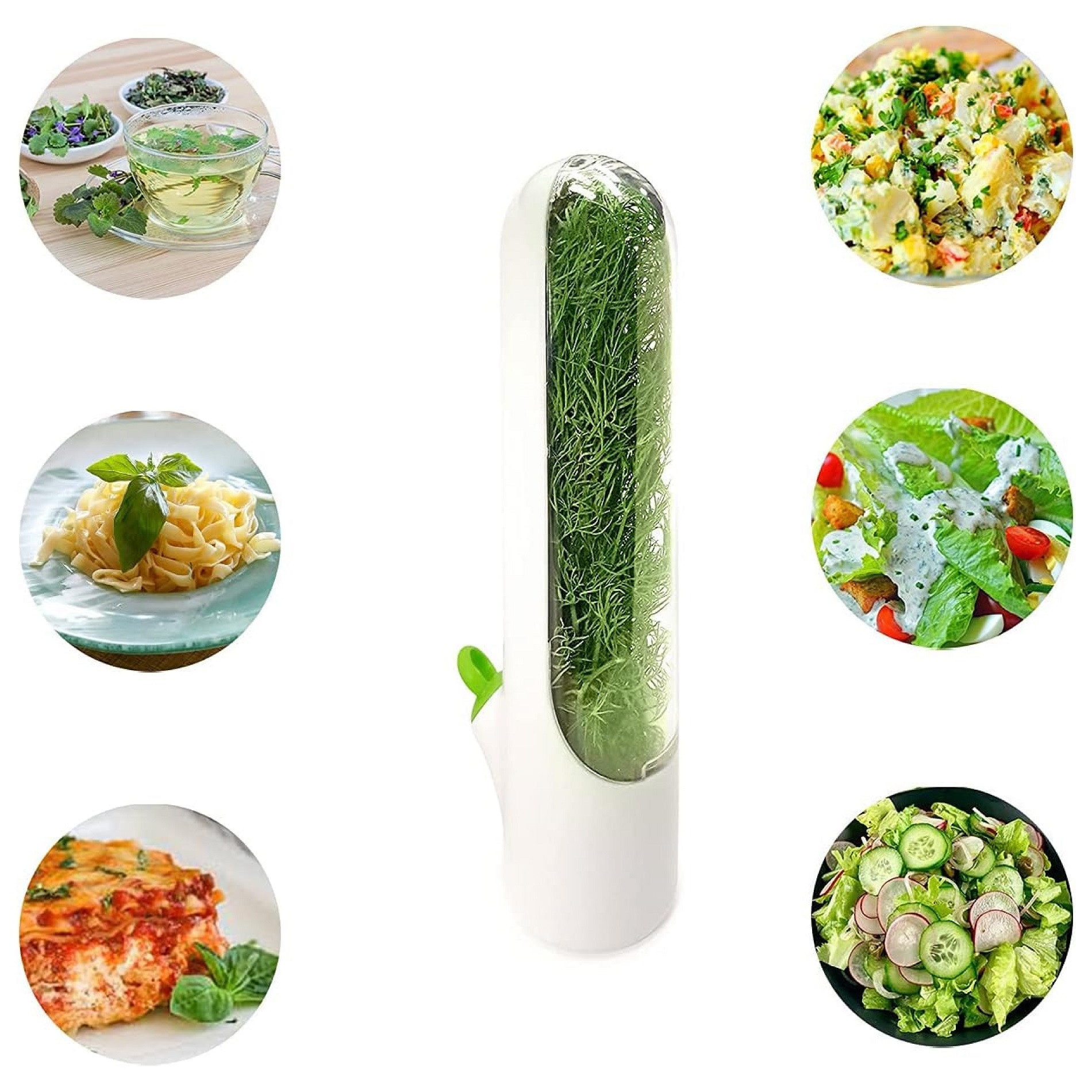 Miniatura 3 de Capsula Contenedor Conservador Hierbas